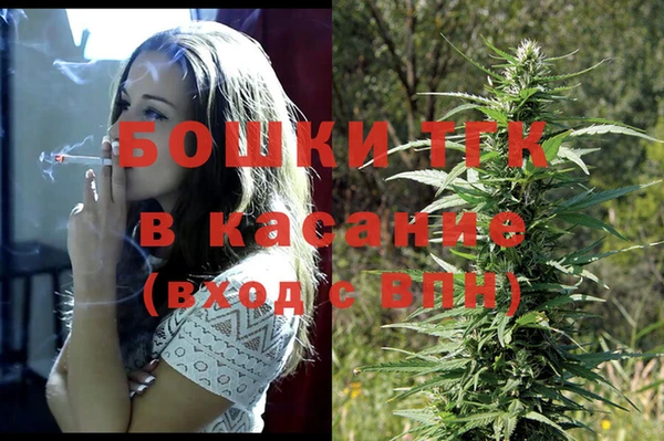 амф Пересвет