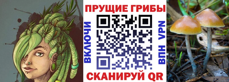 Псилоцибиновые грибы Psilocybine cubensis  KRAKEN ссылка  Яблоновский  купить закладку 